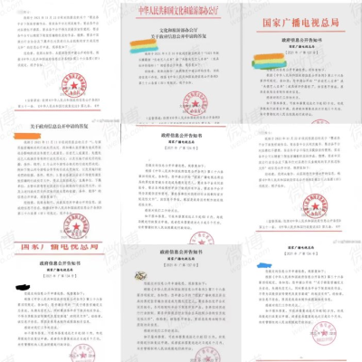 Collection of Official Government Documents on Zhang ZheHan